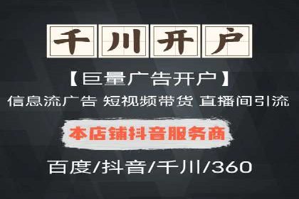 案例解读：网络推广与竞价策略
