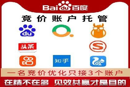 深度剖析sem竞价代运营的五大成功案例